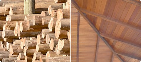 Materiales para la construcción: Tirantería – Maderera San Salvador